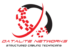 Datalite Network Official Logo